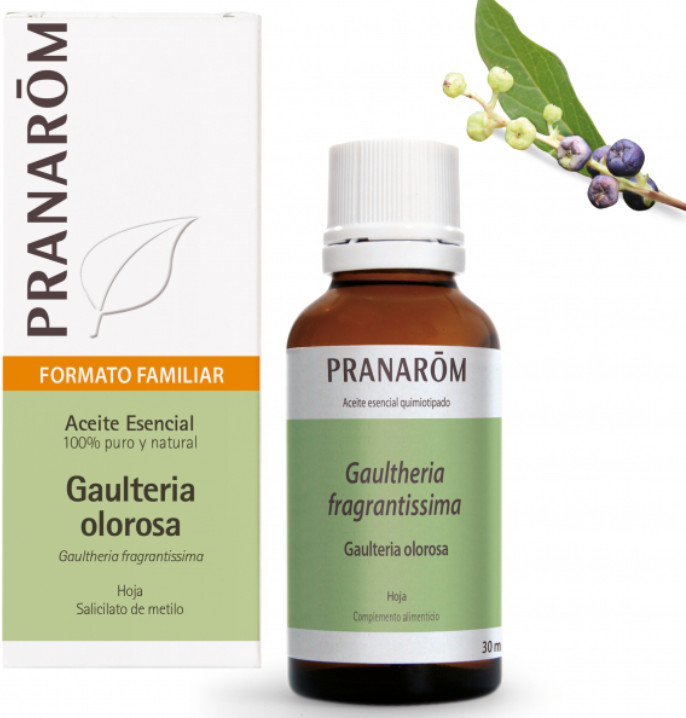 PRANAROM AROMATERAPIA fitoaromaterapia medicina natural Gaulteria olorosa - 30 ml Gaultheria fragrantissima