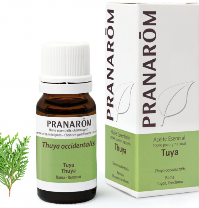 PRANAROM AROMATERAPIA fitoaromaterapia medicina natural Tuya - 10 ml Thuya occidentalis