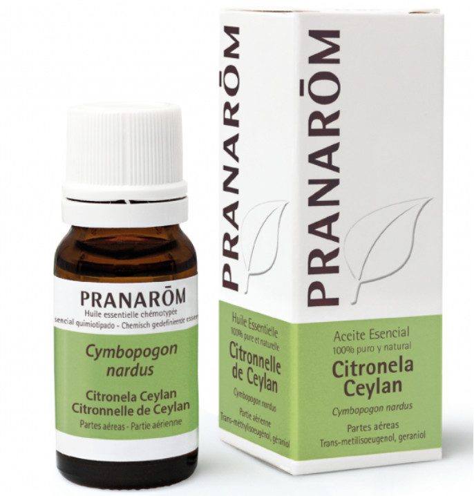 PRANAROM AROMATERAPIA fitoaromaterapia medicina natural Citronela Ceylan - 10 ml Cymbopogon nardus 