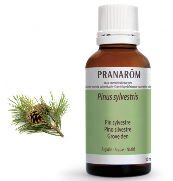 PRANAROM AROMATERAPIA fitoaromaterapia medicina natural Pino silvestre - 30 ml Pinus sylvestris 