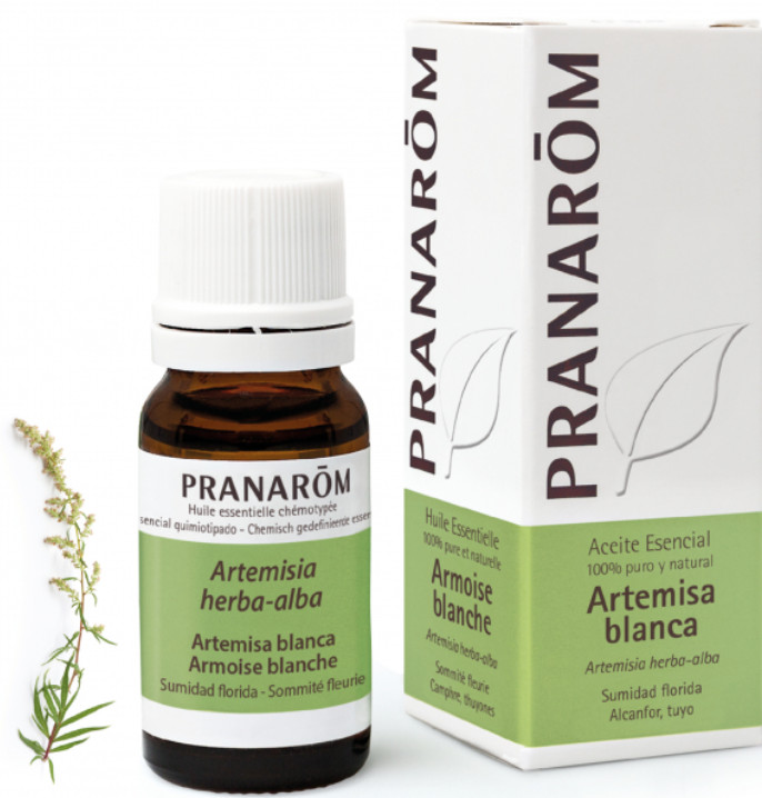 PRANAROM AROMATERAPIA fitoaromaterapia medicina natural Artemisa blanca - 10 ml Artemisia herba-alba