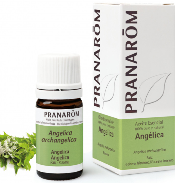 PRANAROM AROMATERAPIA fitoaromaterapia medicina natural Angélica - 5 ml Angelica archangelica