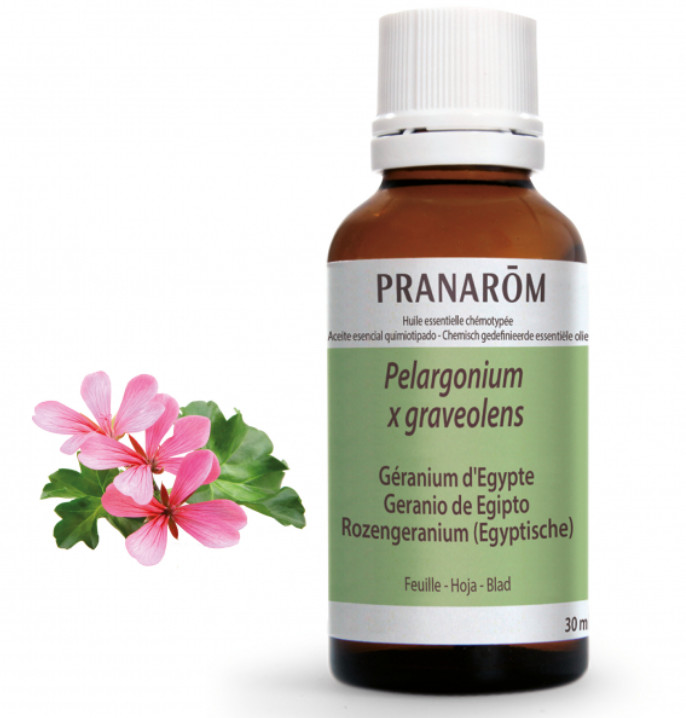 PRANAROM AROMATERAPIA fitoaromaterapia medicina natural Geranio de Egipto - 30 ml Pelargonium x graveolens 