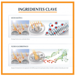 Eucerin productos dermocosméticos que cuidan la piel Sun Face Oil Control FPS 50+ con color tono medio