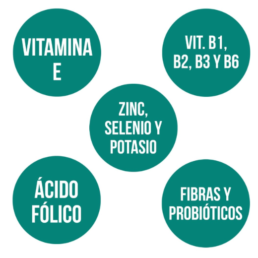Ana María Lajusticia nutrientes, cuidado y conservación de la salud LEVADURA DE CERVEZA + GERMEN TRIGO + TIAMINA (B1) (80 comp.) Ana María Lajusticia nutrientes, cuidado y conservación de la salud LEVADURA DE CERVEZA + GERMEN TRIGO + TIAMINA (B1) (80 comp.)