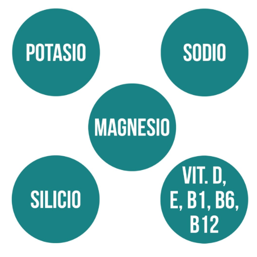 Ana María Lajusticia nutrientes, cuidado y conservación de la salud SALES MINERALES (25 caps.) - Isotónicas AMLSPORT